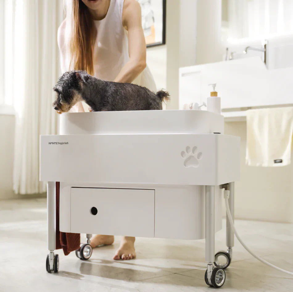 doggie bath, dog bathtub, puppy bathtub,寵物浴缸,可移動浴缸,pet bathtub, 大型犬浴缸,小型犬浴缸, 犬隻浴缸,狗狗浴缸,Dog Grooming Bath Tub, animal bathtub, cat bathtub, Small pet bathtub hk,寵物沖涼,寵物洗澡