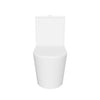 LYON 2-Piece Toilet