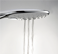 MAINZ Shower Head-Shower Head-INFINITE-訂造洗手盆,浴室翻新, small size bathtubs, custom-made bathtub HK,freestanding bathtub Hong Kong, 獨立式 浴缸 香港, premium bathtub brands HK, Where to buy bathtubs in Hong Kong, best custom bathroom furniture HK, Infinite Bath, Infinite浴缸, Cloakroom,Vanities, Mirrors,Bathroom Furniture, 浴室裝修,浴室 櫃 訂造