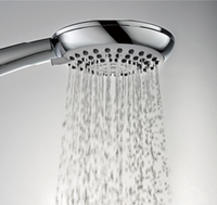 FULDA Shower Head-Shower Head-INFINITE-訂造洗手盆,浴室翻新, small size bathtubs, custom-made bathtub HK,freestanding bathtub Hong Kong, 獨立式 浴缸 香港, premium bathtub brands HK, Where to buy bathtubs in Hong Kong, best custom bathroom furniture HK, Infinite Bath, Infinite浴缸, Cloakroom,Vanities, Mirrors,Bathroom Furniture, 浴室裝修,浴室 櫃 訂造