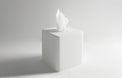 130 Toilet Roll Box-8050 Solid Surfaces Home-INFINITE-訂造洗手盆,浴室翻新, small size bathtubs, custom-made bathtub HK,freestanding bathtub Hong Kong, 獨立式 浴缸 香港, premium bathtub brands HK, Where to buy bathtubs in Hong Kong, best custom bathroom furniture HK, Infinite Bath, Infinite浴缸, Cloakroom,Vanities, Mirrors,Bathroom Furniture, 浴室裝修,浴室 櫃 訂造