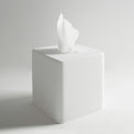 130 Toilet Roll Box-8050 Solid Surfaces Home-INFINITE-訂造洗手盆,浴室翻新, small size bathtubs, custom-made bathtub HK,freestanding bathtub Hong Kong, 獨立式 浴缸 香港, premium bathtub brands HK, Where to buy bathtubs in Hong Kong, best custom bathroom furniture HK, Infinite Bath, Infinite浴缸, Cloakroom,Vanities, Mirrors,Bathroom Furniture, 浴室裝修,浴室 櫃 訂造